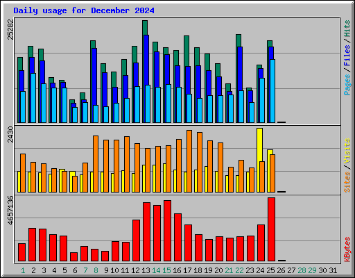 Daily usage for December 2024