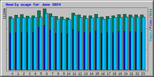 Hourly usage for June 2024