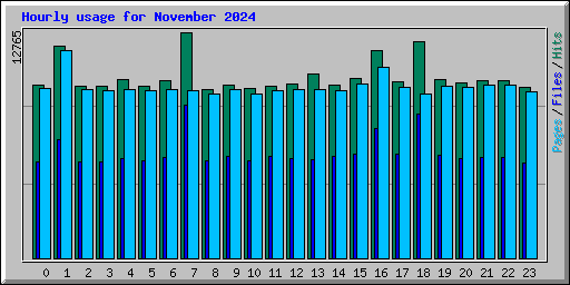 Hourly usage for November 2024