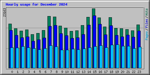 Hourly usage for December 2024