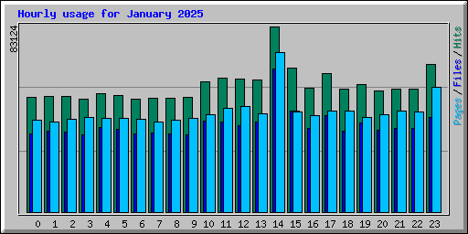 Hourly usage for January 2025