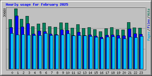 Hourly usage for February 2025